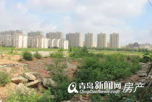 李滄楊哥莊最新動態(tài)，科技引領(lǐng)生活，智能新品體驗未來