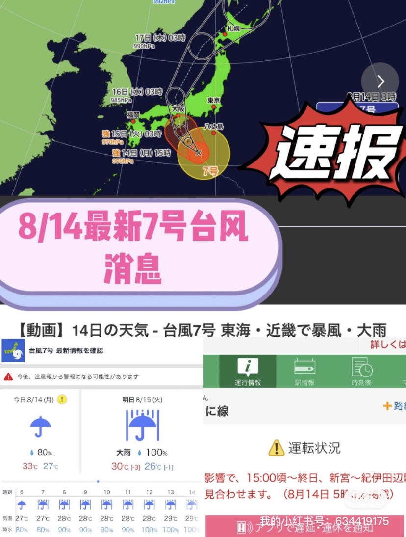 臺風來襲，知識海洋并肩作戰(zhàn)，最新關于臺風12號的消息報告