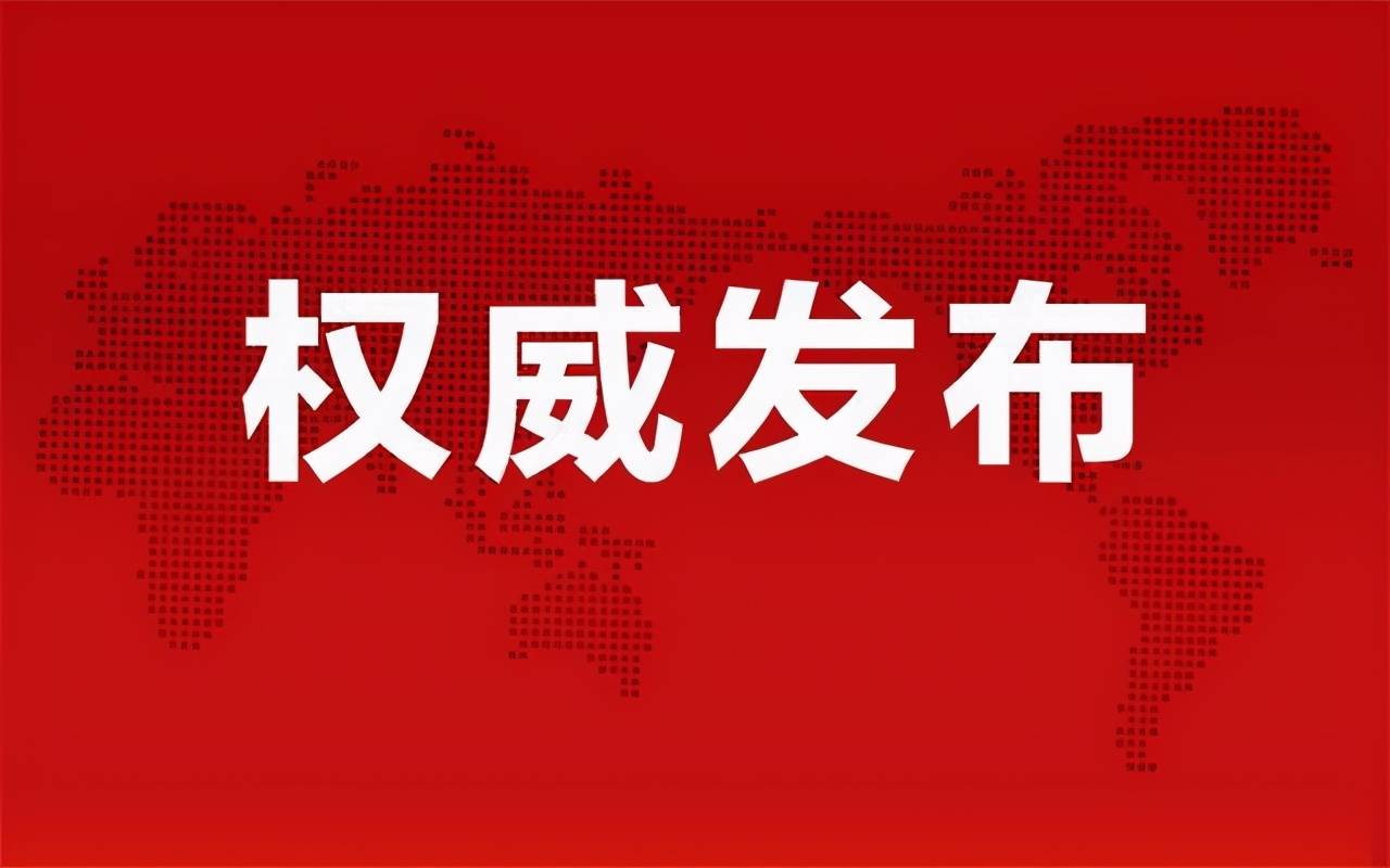 準油股份秦勇最新動態(tài)揭秘，股市之外的小日常趣事揭秘