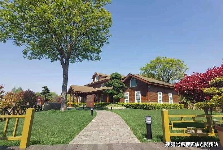 變化中的學習之旅，中澤純境最新消息與自信成就之源